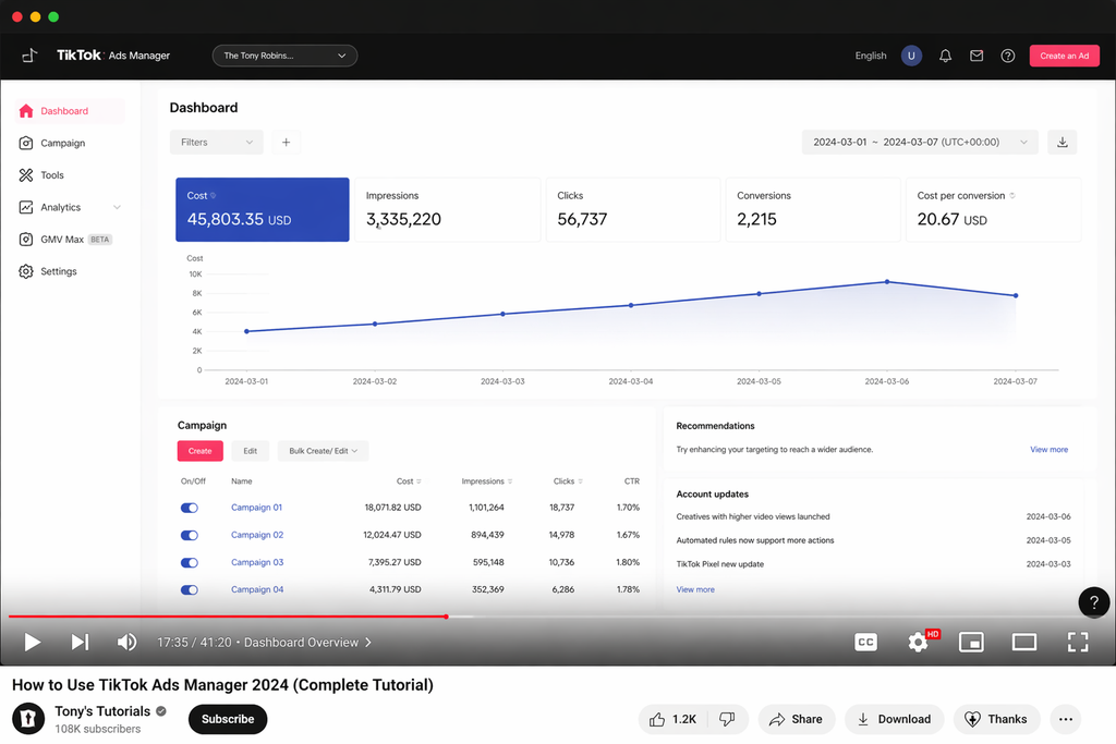 TikTok Ads Campaign (Video Promotion